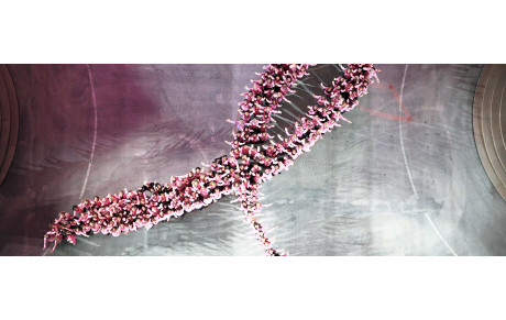 Octobre rose au club des Mousquetaires